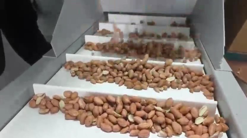 ماكينة تقشير المكسرات في تركيا