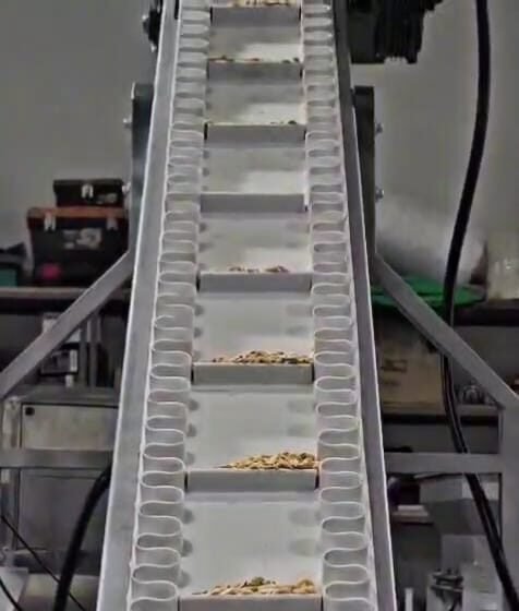 ماكينة فرز الفستق في تركيا