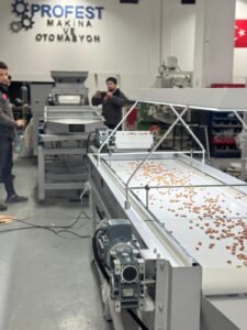 Nuts production line in Turkey