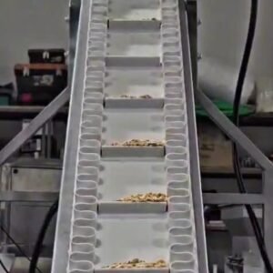 Pistachio sorting machine in Turkey