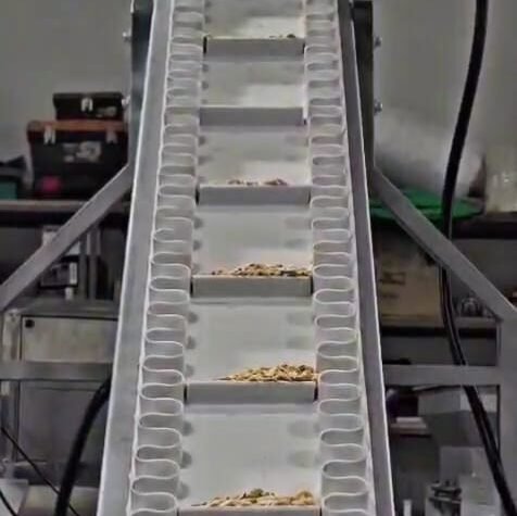 Pistachio sorting machine in Turkey